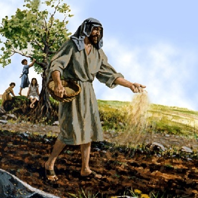 The parable of the sower - Blessed Savior Lutheran Church